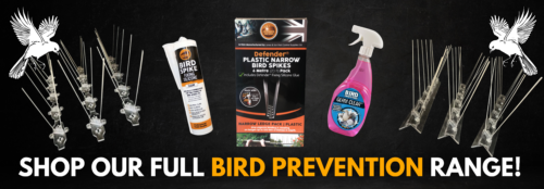 bird prevention products