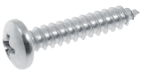 Phillips screw