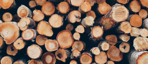 Growing Timber Shortages in the UK