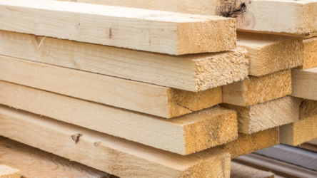 The Shift Towards Timber Construction: Sustainability and Innovation