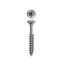 Torx Screw