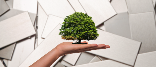 10 Reasons Why Stainless is Environmentally Friendly