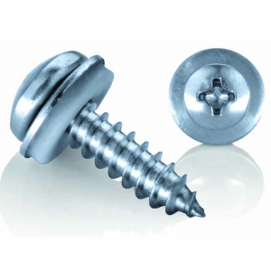 Phillips Head Self-Tapping Screw (EPDM Washer)