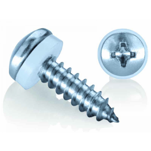 Phillips Head Self-Tapping Screw (Polyamide Washer)
