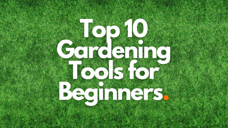 Top 10 Gardening Tools for Beginners